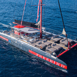 Freebird One Avistamiento de ballenas 22