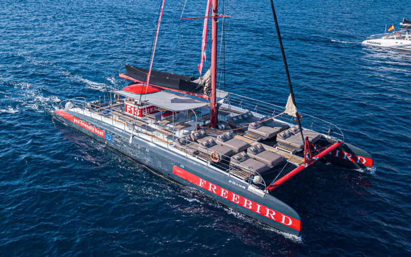 Freebird One Avistamiento de ballenas 22