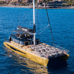 Freebird One Avistamiento de ballenas 3