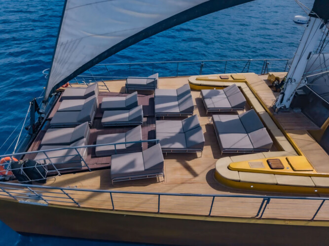 Freebird One Avistamiento de ballenas 4