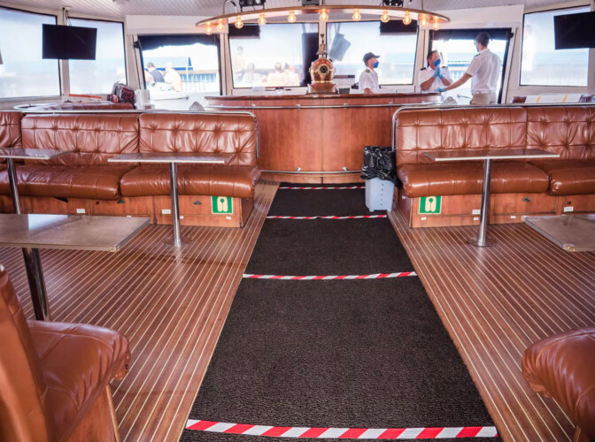 Freebird One Avistamiento de ballenas 5