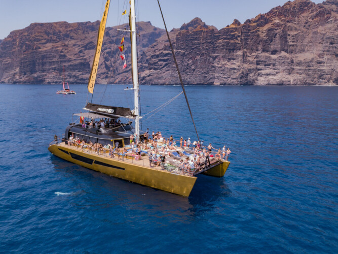 Freebird One Avistamiento de ballenas 6