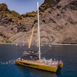 Freebird One Avistamiento de ballenas 7