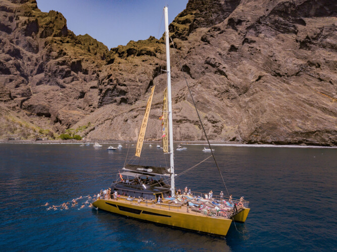 Freebird One Avistamiento de ballenas 7