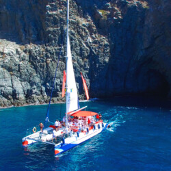 Catamarán Paraíso Blanco Avistamiento de ballenas 1