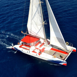 Catamarán Paraíso Blanco Avistamiento de ballenas 3