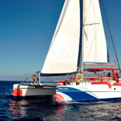 Catamarán Paraíso Blanco Avistamiento de ballenas 4