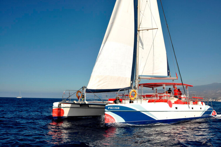 Catamarán Paraíso Blanco Avistamiento de ballenas 4