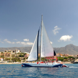 Catamarán Paraíso Blanco Avistamiento de ballenas 5