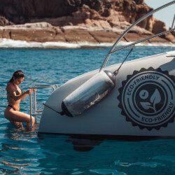 Fünf-Sterne-Walbeobachtung Teneriffa 10