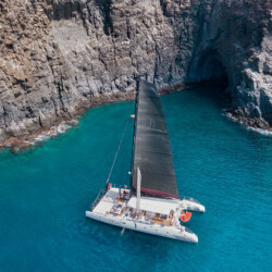 Fünf-Sterne-Walbeobachtung Teneriffa 2