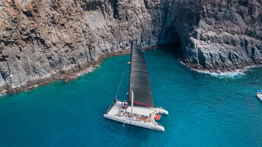 Fünf-Sterne-Walbeobachtung Teneriffa 2