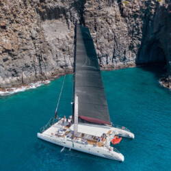 Fünf-Sterne-Walbeobachtung Teneriffa 3