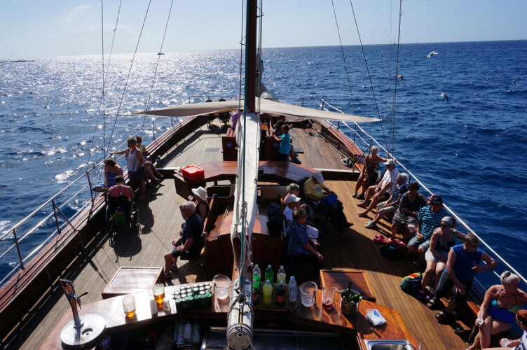 Avistamiento de ballenas Shogun Tenerife 10