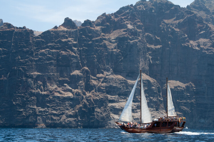 Avistamiento de ballenas Shogun Tenerife 13