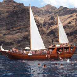 Avistamiento de ballenas Shogun Tenerife 2