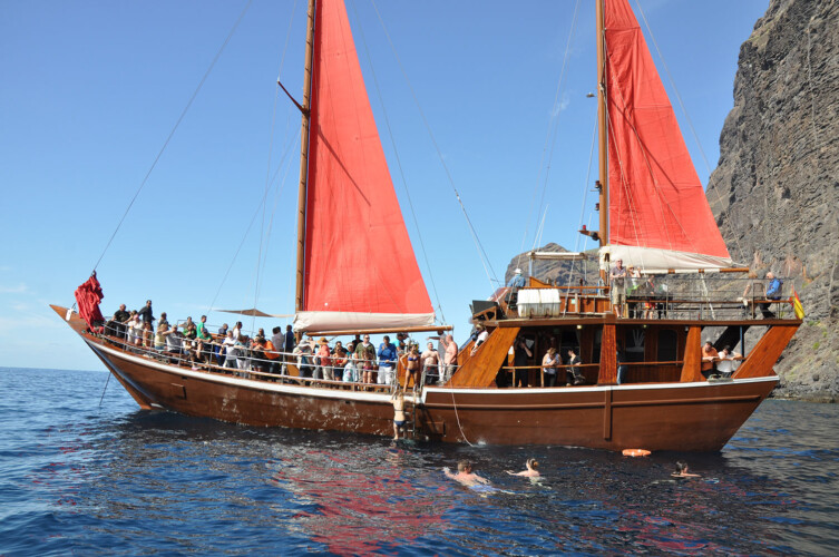 Avistamiento de ballenas Shogun Tenerife 6