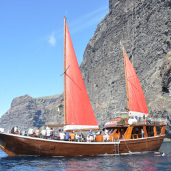 Avistamiento de ballenas Shogun Tenerife 7