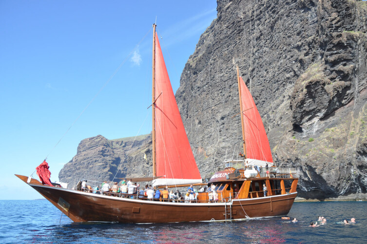 Avistamiento de ballenas Shogun Tenerife 7