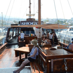 Avistamiento de ballenas Shogun Tenerife 8