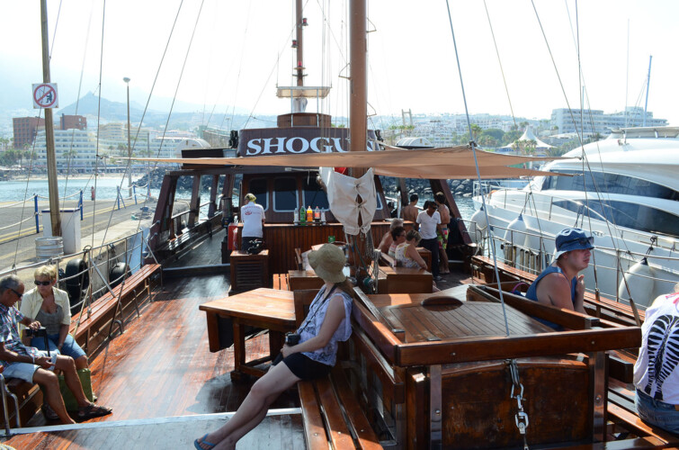 Avistamiento de ballenas Shogun Tenerife 8