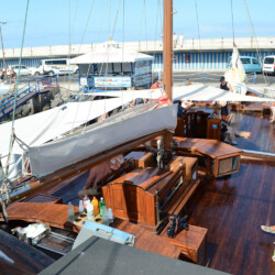 Avistamiento de ballenas Shogun Tenerife 9