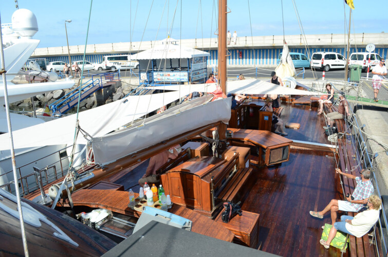 Avistamiento de ballenas Shogun Tenerife 9