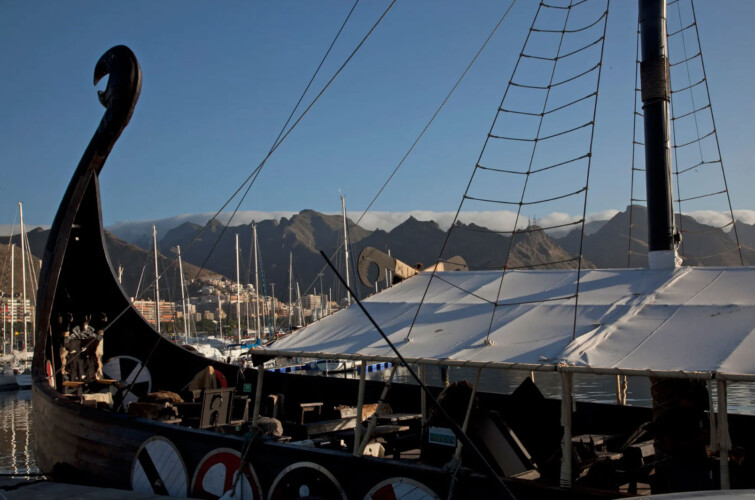 Barco Vikingo Tenerife Ragnarok Avistamiento de Ballenas 10