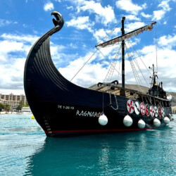 Barco Vikingo Tenerife Ragnarok Avistamiento de Ballenas 13