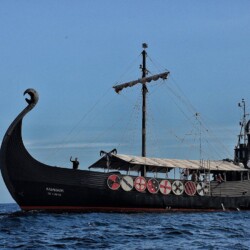Barco Vikingo Tenerife Ragnarok Avistamiento de Ballenas 14