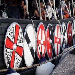 Barco Vikingo Tenerife Ragnarok Avistamiento de Ballenas 15