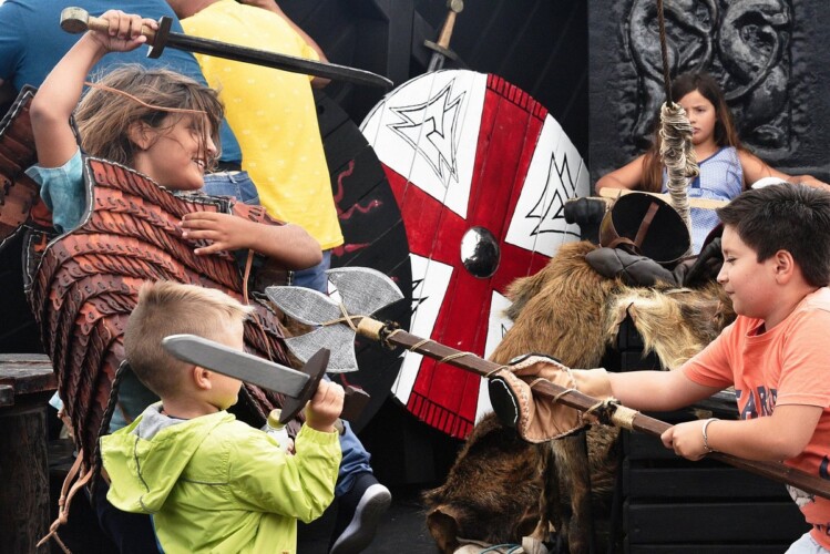 Barco Vikingo Tenerife Ragnarok Avistamiento de Ballenas 17