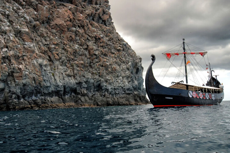 Barco Vikingo Tenerife Ragnarok Avistamiento de Ballenas 8