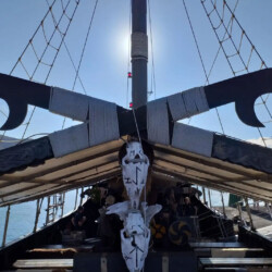 Barco Vikingo Tenerife Ragnarok Avistamiento de Ballenas 9