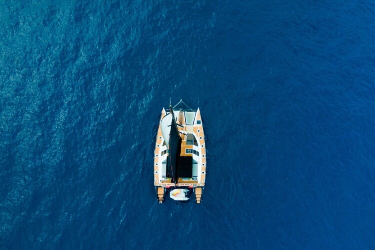 Abrazo Avistamiento de Ballenas Tenerife 2