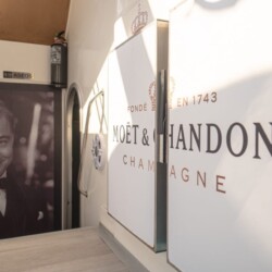 Abrazo Avistamiento de Ballenas Tenerife 5