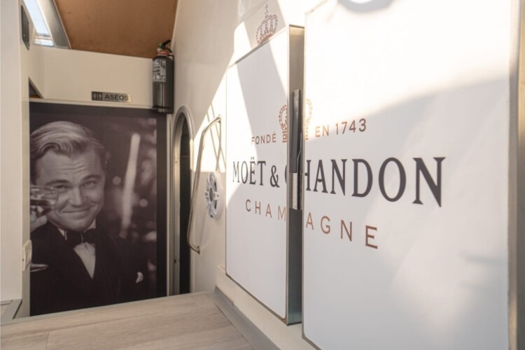 Abrazo Avistamiento de Ballenas Tenerife 5