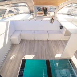 Abrazo Avistamiento de Ballenas Tenerife 6