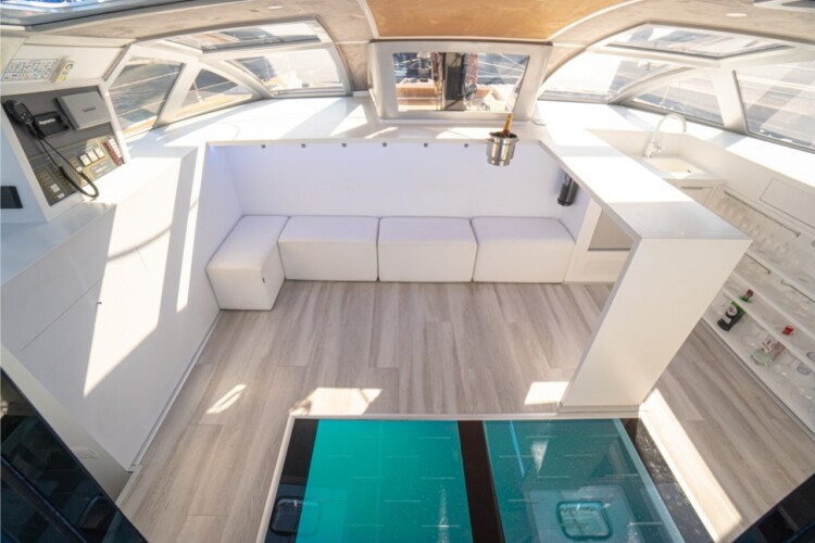 Abrazo Avistamiento de Ballenas Tenerife 6