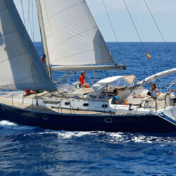 Avistamiento de cetáceos en Blue Jack Sail Tenerife 1