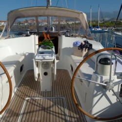 Avistamiento de cetáceos en Blue Jack Sail Tenerife 10