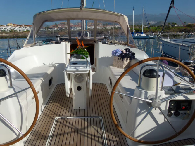 Avistamiento de cetáceos en Blue Jack Sail Tenerife 10