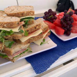 Avistamiento de cetáceos en Blue Jack Sail Tenerife 12