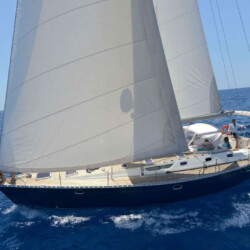 Avistamiento de cetáceos en Blue Jack Sail Tenerife 2