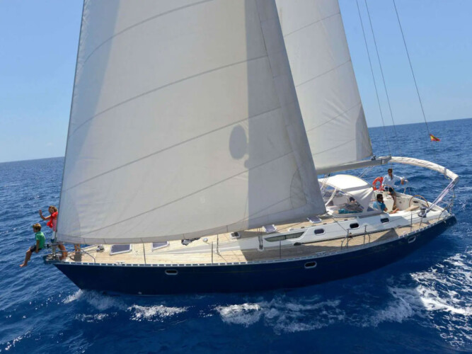 Avistamiento de cetáceos en Blue Jack Sail Tenerife 2