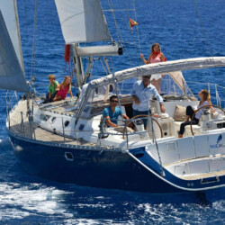 Avistamiento de cetáceos en Blue Jack Sail Tenerife 3