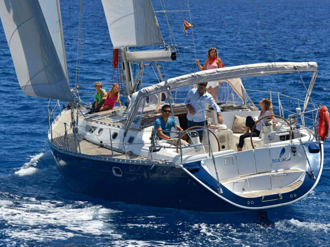 Avistamiento de cetáceos en Blue Jack Sail Tenerife 3