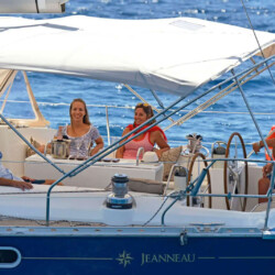 Avistamiento de cetáceos en Blue Jack Sail Tenerife 4