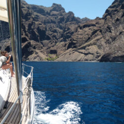 Avistamiento de cetáceos en Blue Jack Sail Tenerife 7