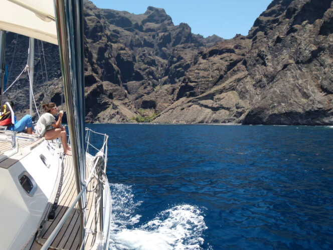 Avistamiento de cetáceos en Blue Jack Sail Tenerife 7